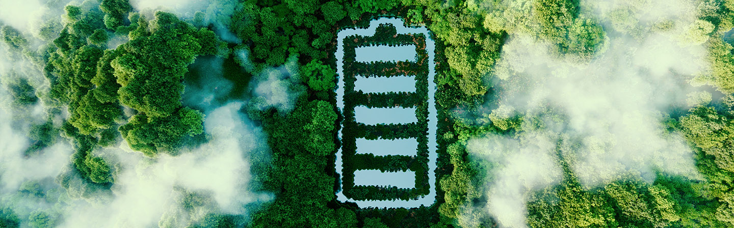 Battery-shaped pond located in a lush forest.