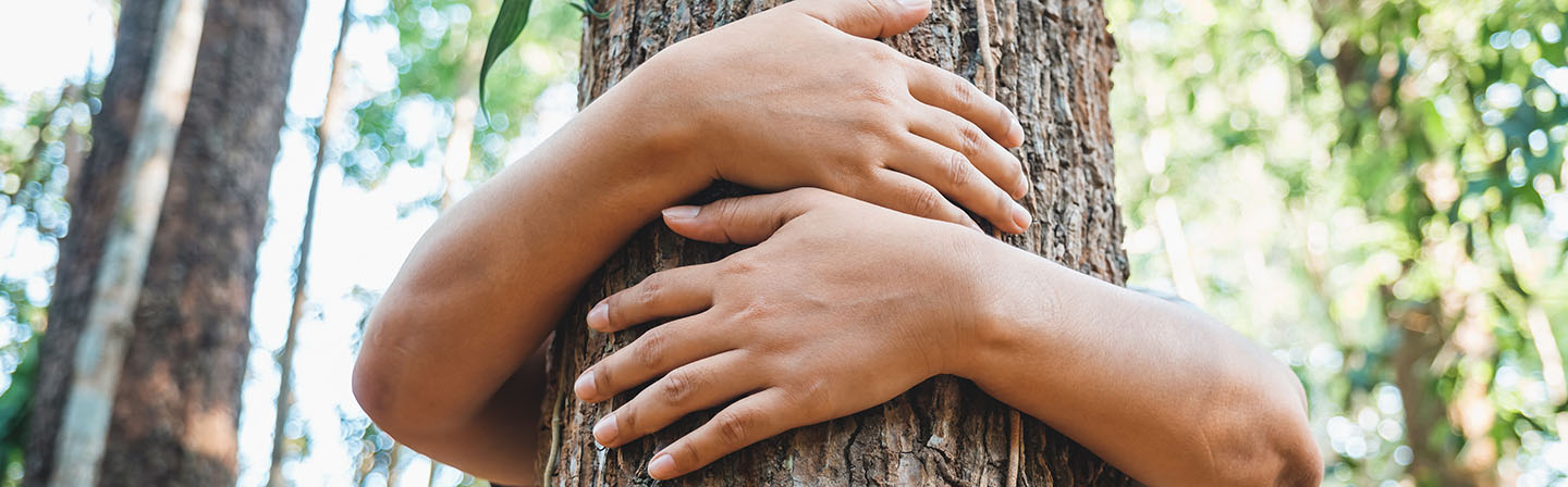 A woman stands behind a tree and hugs it.